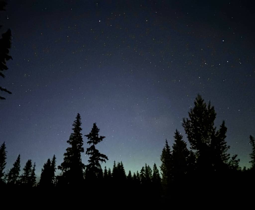 South Cariboo woman helps document 2025’s 1,052 Canadian UFO sightings - Nelson Star